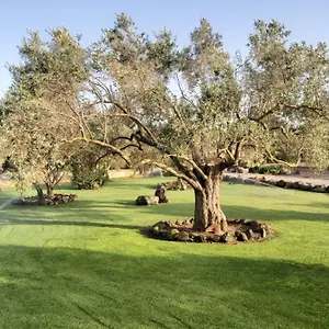 Su Sattisceddu Uras